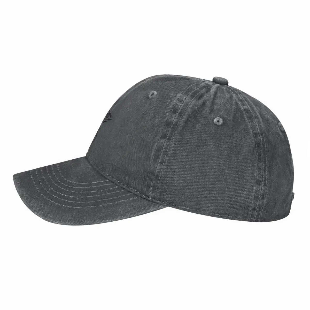 Chameleon Baseball Cap Streetw – Streetwear Brand Golf Bewertung und Preis
